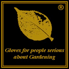 Gardening Gloves on Gold Leaf Gardening Gloves   For People Serious About Gardening