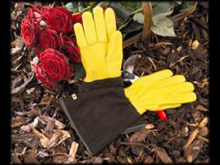 Gold Leaf Tough Touch Gardening Gloves LADIES FIT Gauntlet Gardening Gloves 