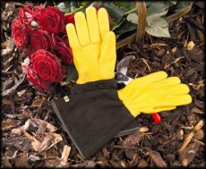Tough Touch Gloves